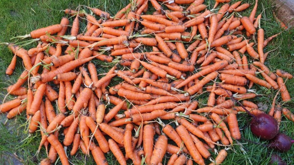 ������� ������: ��� ������ ���������� ������� ��� ������ ����