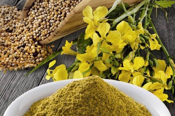 ��������� ����: ��������� ��������� ��� ������ ����