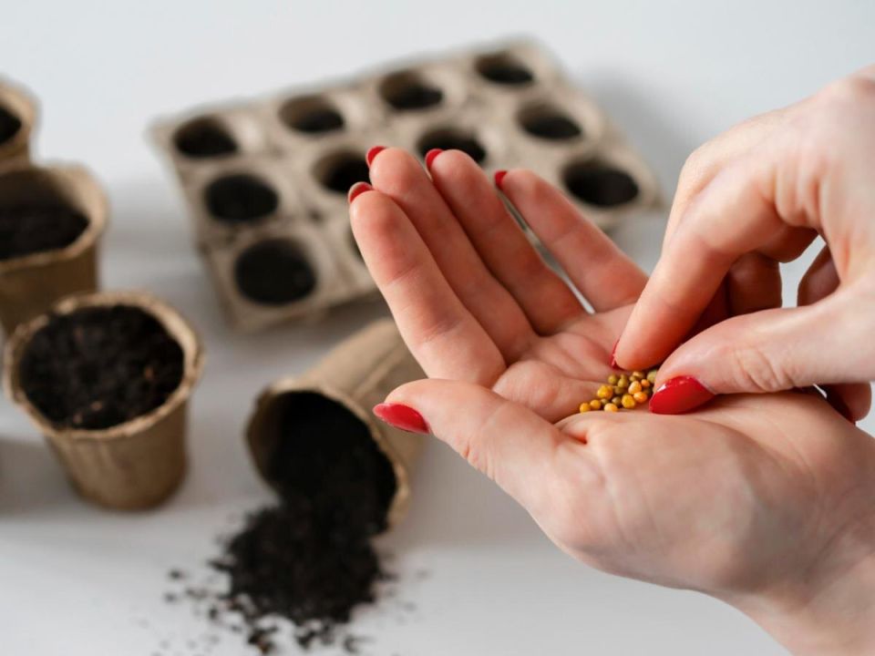 Посевы в марте: лунный календарь для успешного урожая