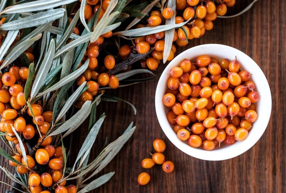 �������� ��� ������: ������� ����� � ������ �� �������