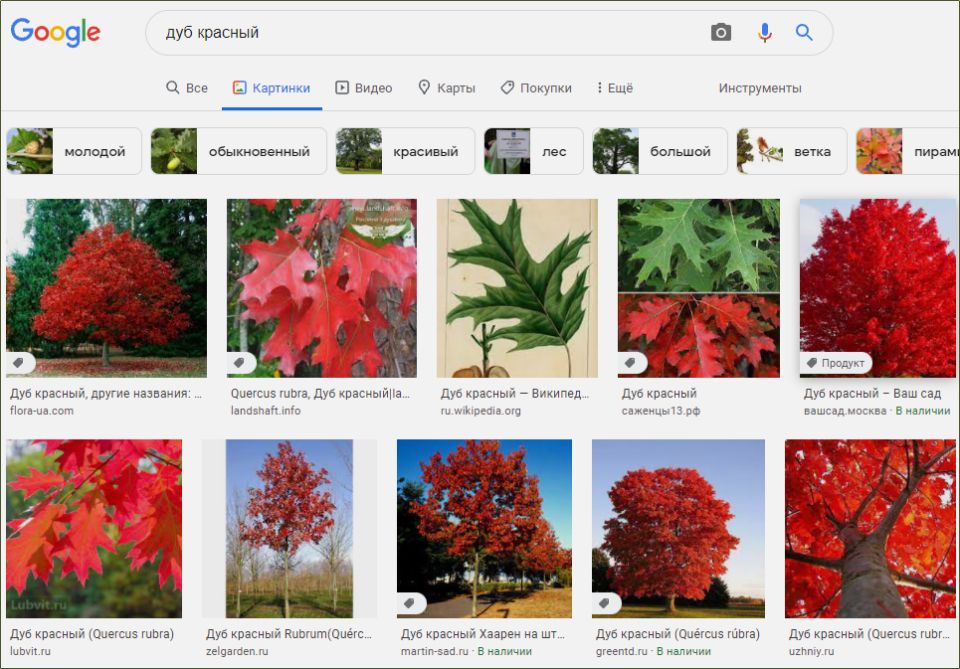 ������ �������� ������� �������� ����?