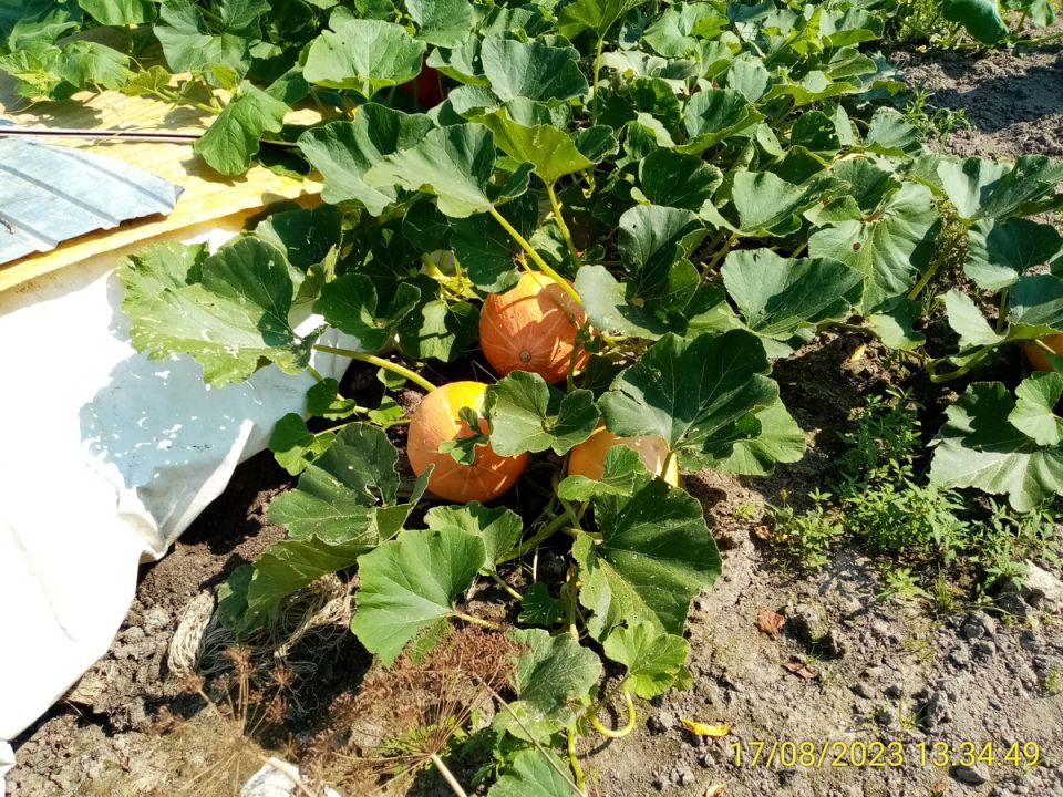 �����: ������� �������������� ������� � ��������� ��������� �����