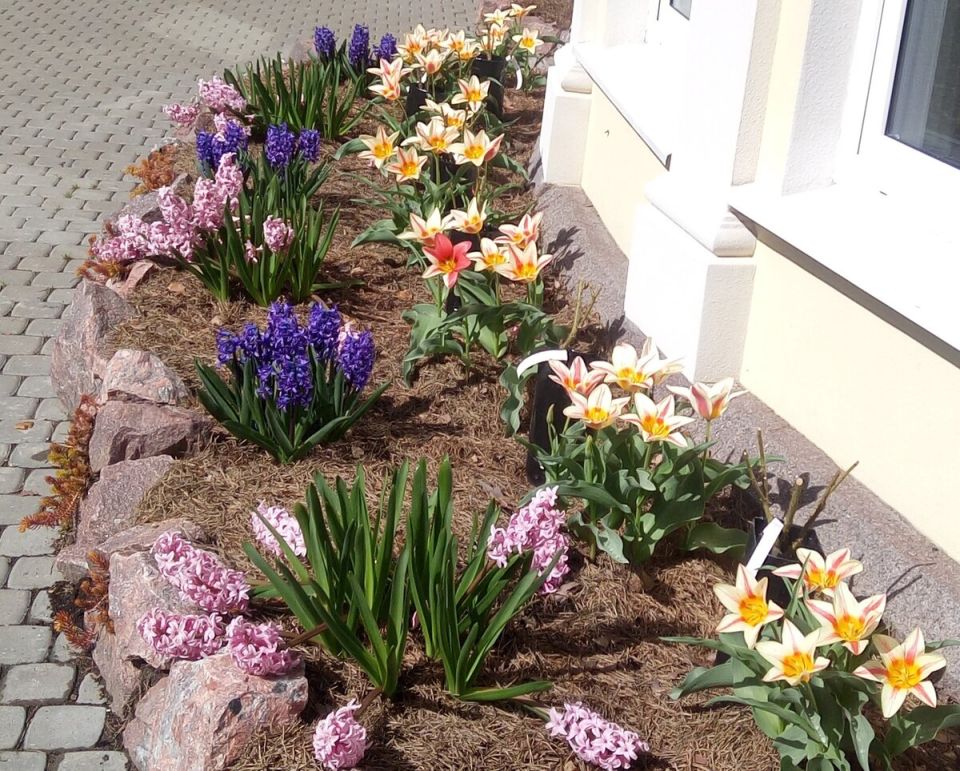 ��������: ����������� ������� ������ � ����� ����