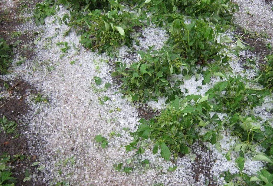 ��� ������������ ������ ����� �����: ������������ ������