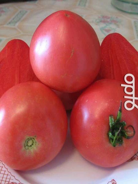 Томат Розовые купола: идеальный сорт для гурманов